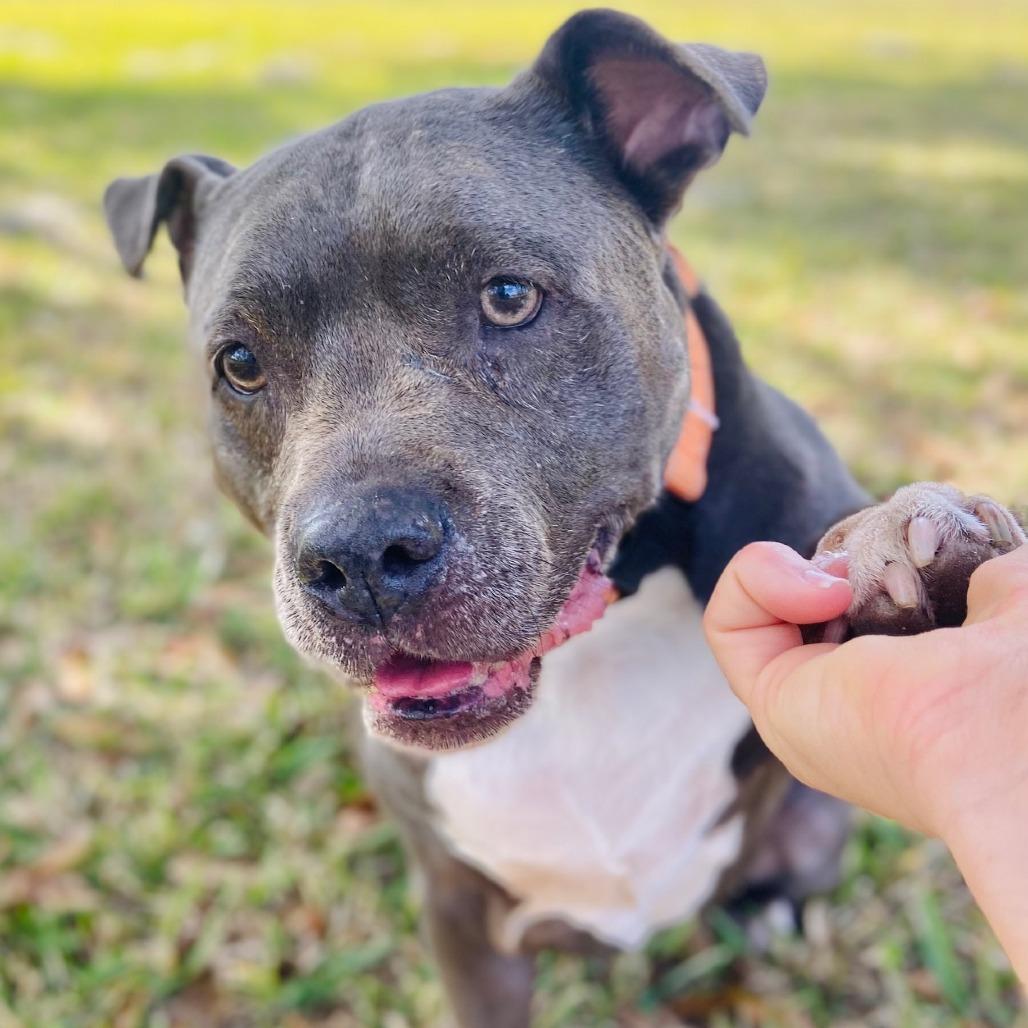 Sally — thumbnail 6