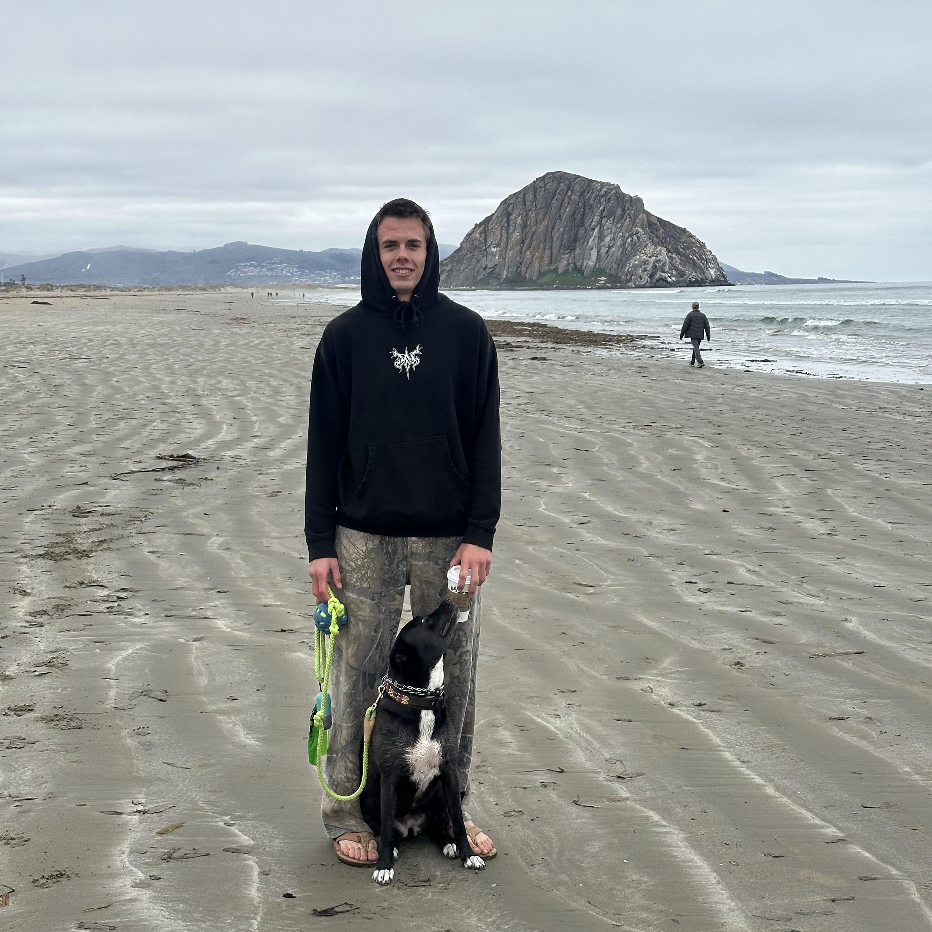 Enlarge Pumpkin Pie, a Adoptable mixed breed in Huntington Beach, CA image 3/4