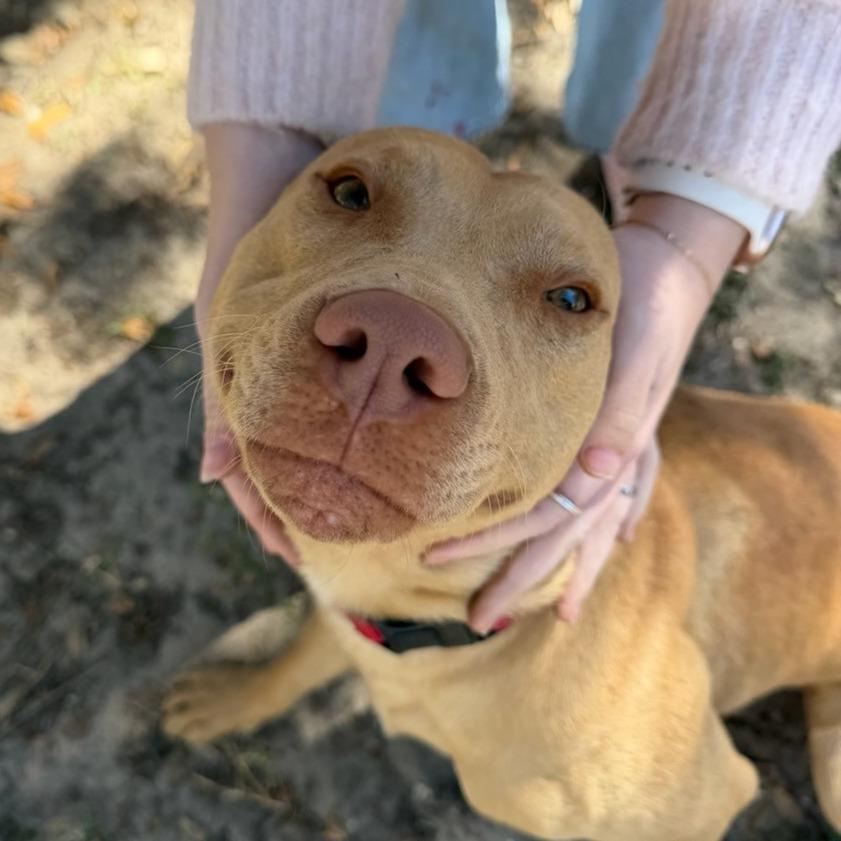 Eddie — thumbnail 2