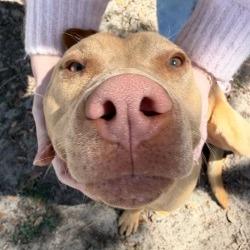 Eddie — thumbnail 4