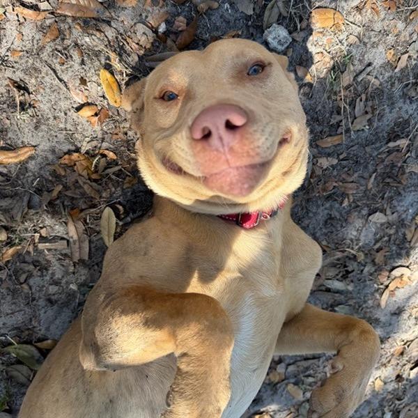 Eddie — thumbnail 5