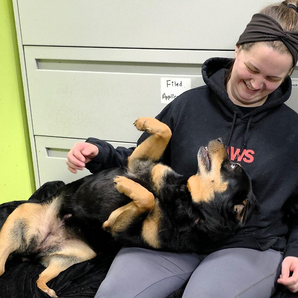 Molly — thumbnail 2