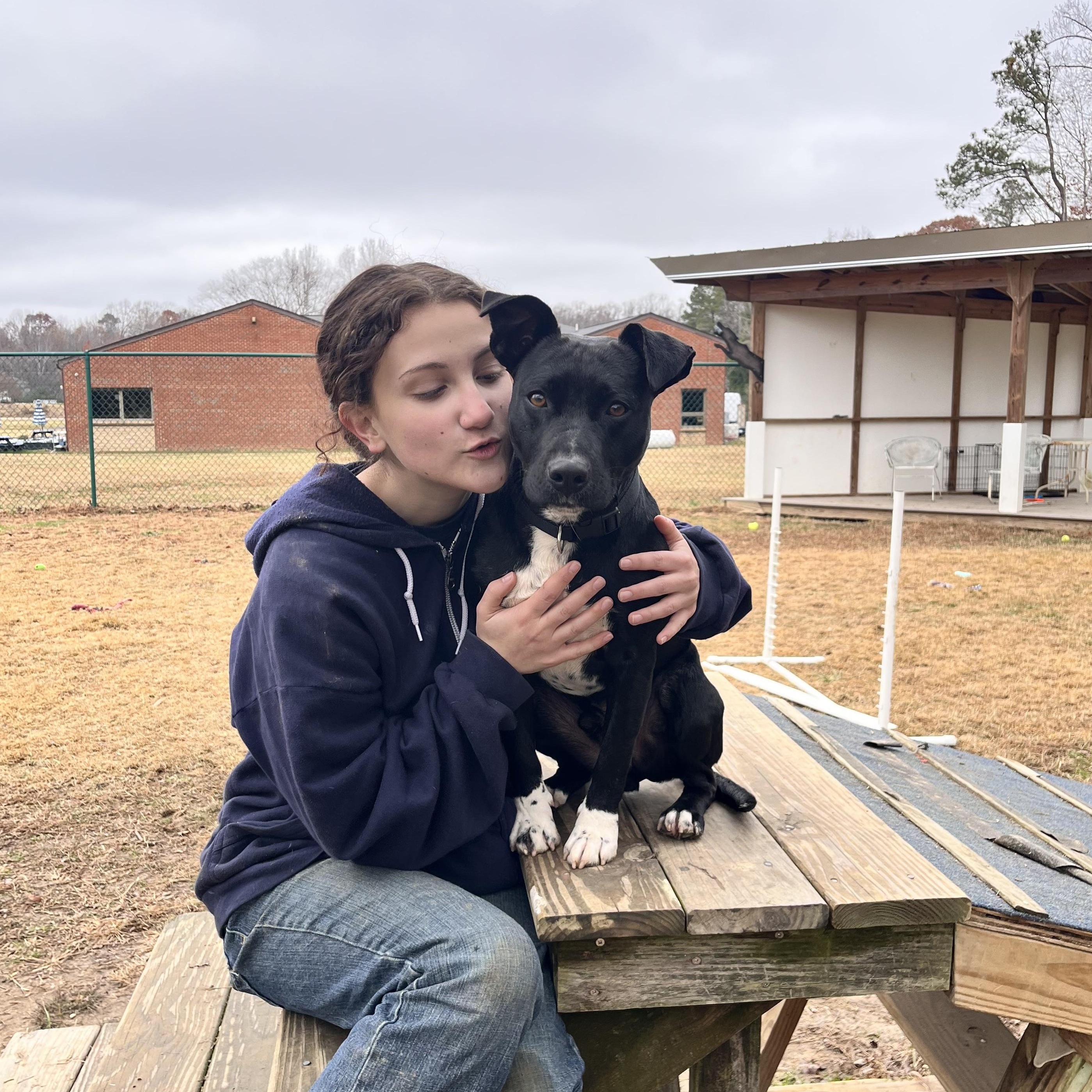 Michael, a Adoptable mixed breed in Saluda, VA image 2/6