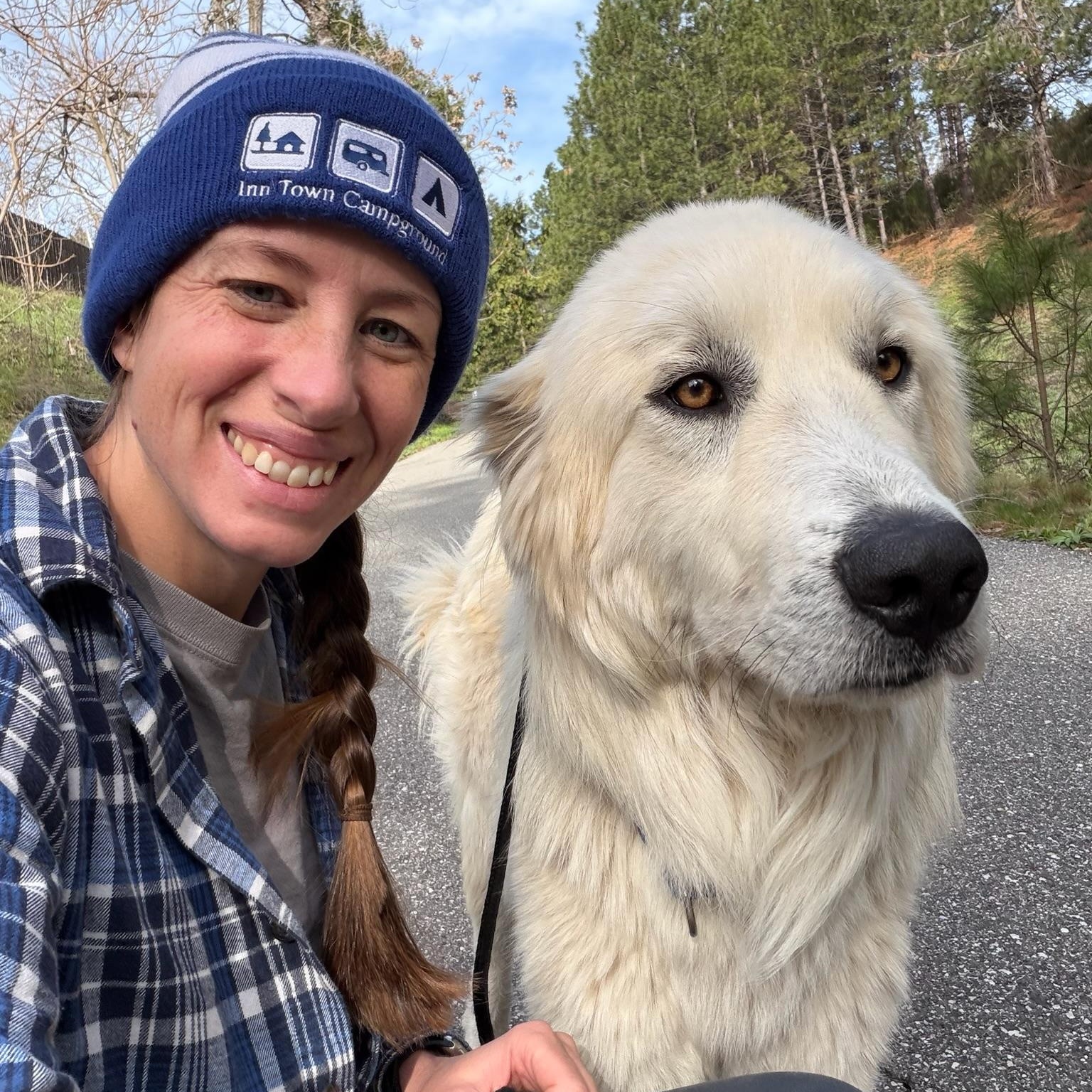 Enlarge Humphrey- Angel, an adoptable Great Pyrenees in Grass Valley, CA image 3/6