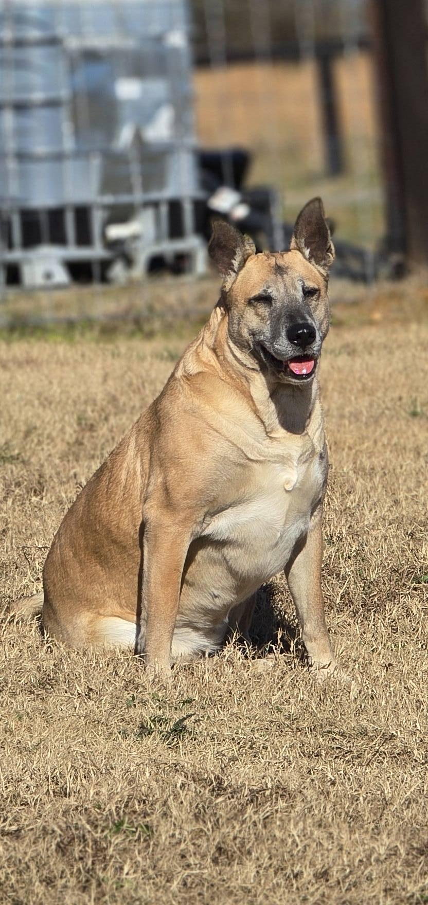 Wilma