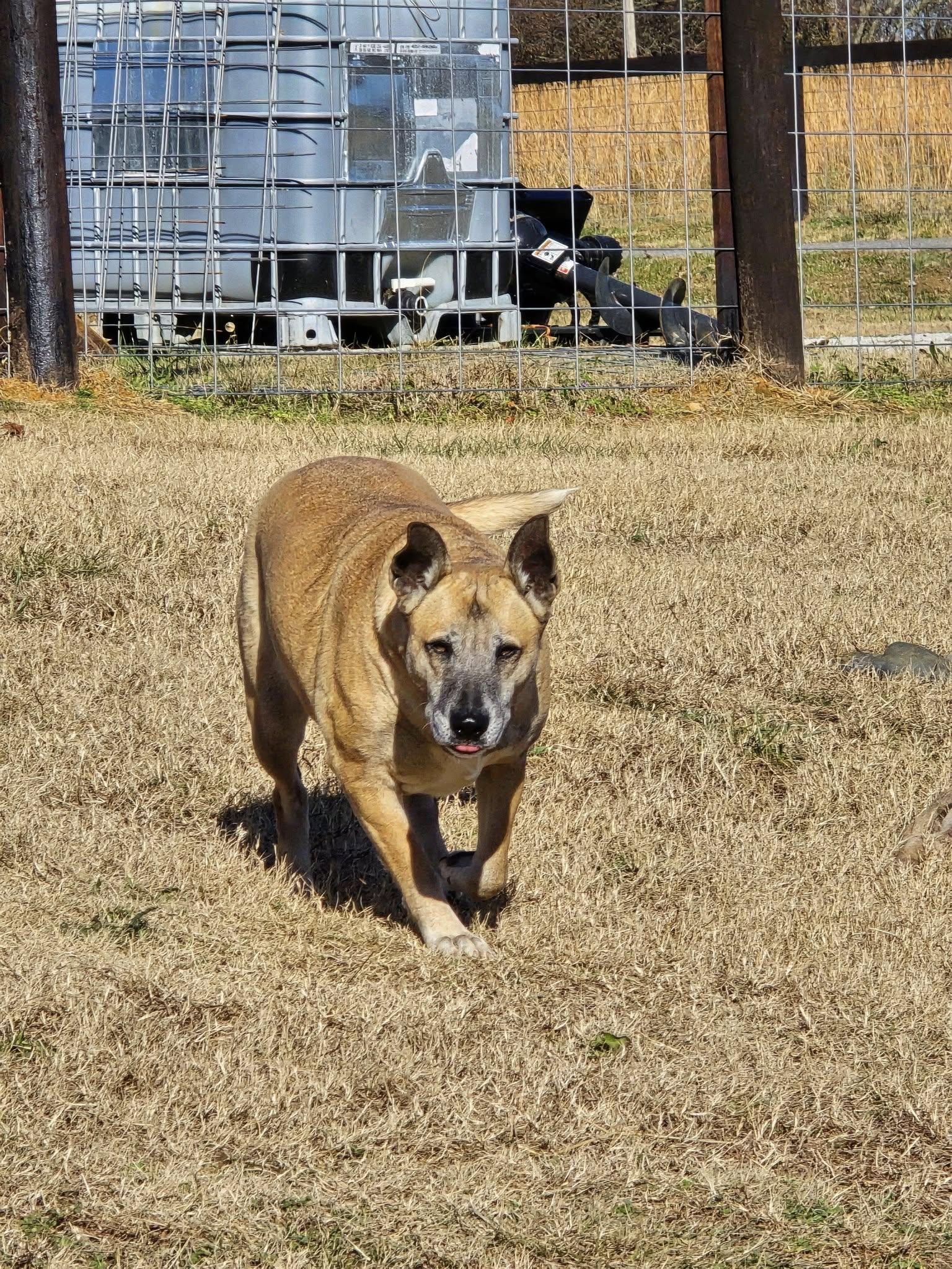 Wilma 5