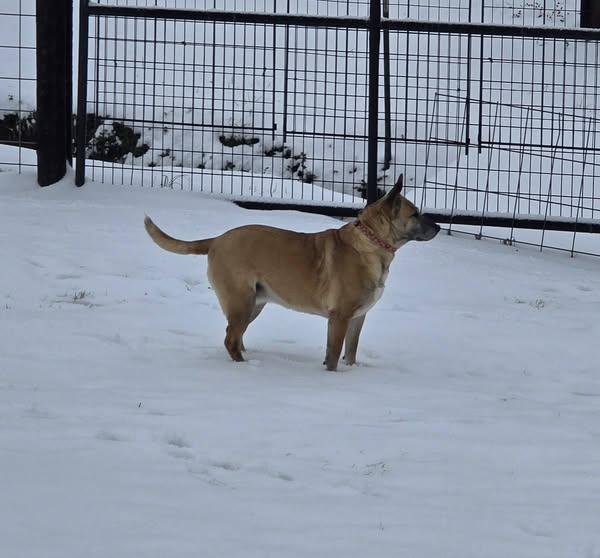 Wilma 3
