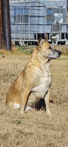Wilma 4