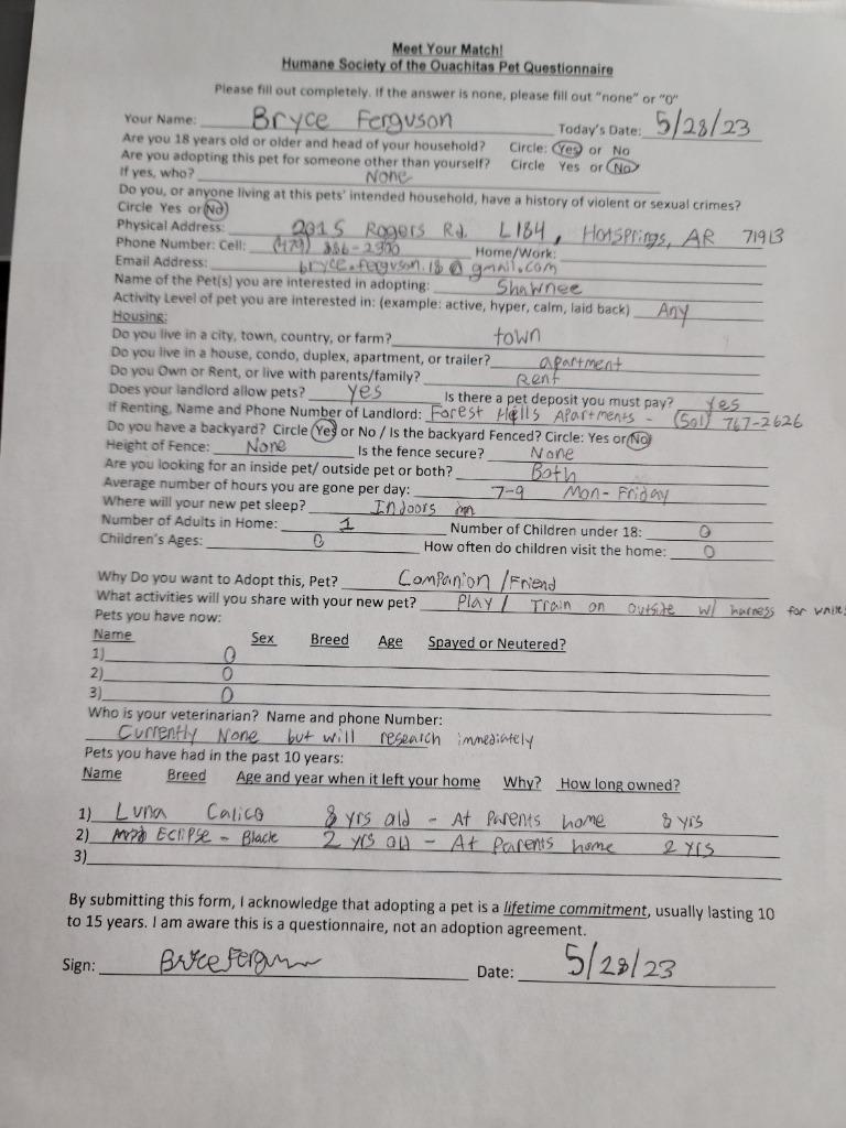 Enlarge Shawnee, a Adopted mixed breed in Mena, AR image 1/6