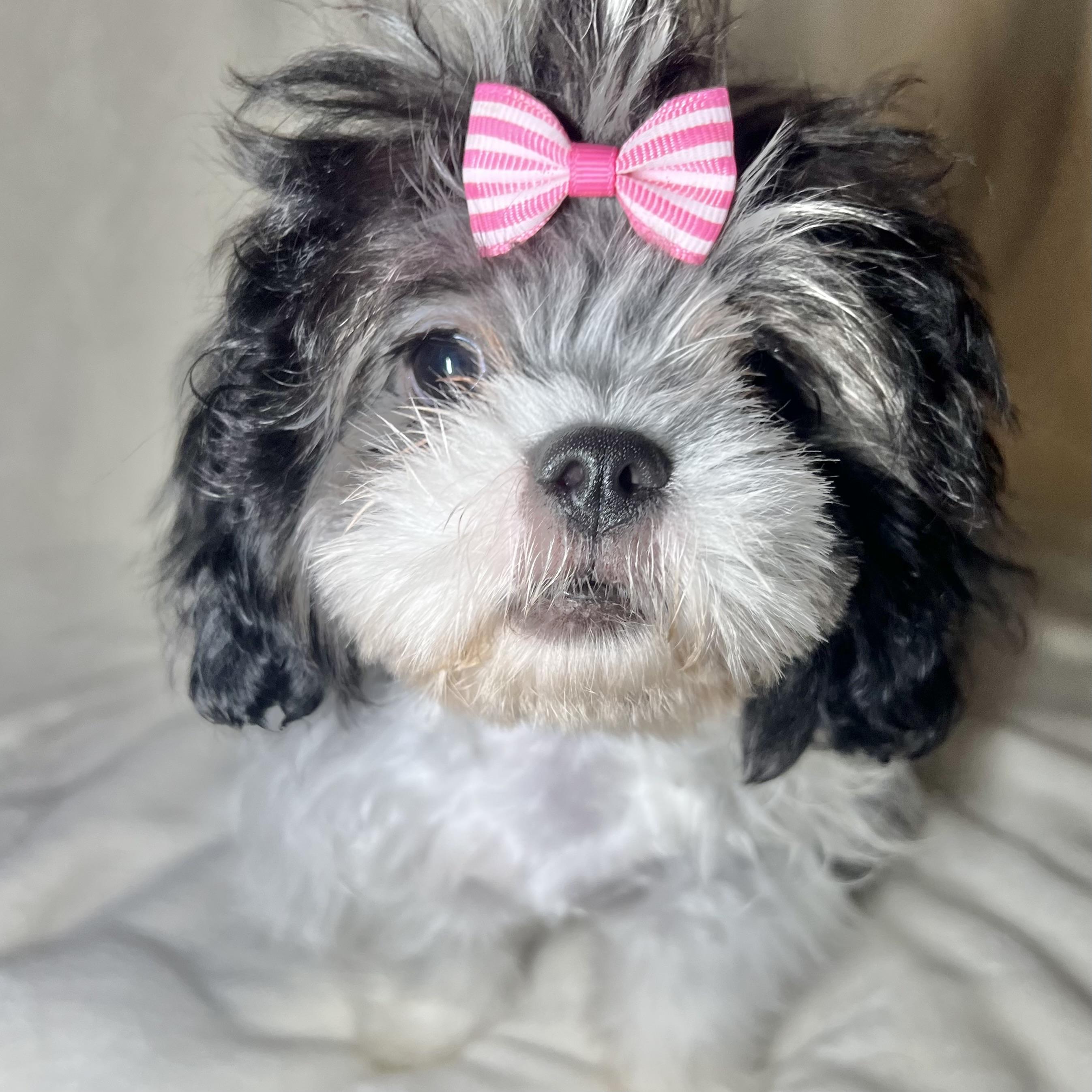 Betty