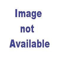 Enlarge Clover, a Adoptable mixed breed in Monterey, CA image 2/2
