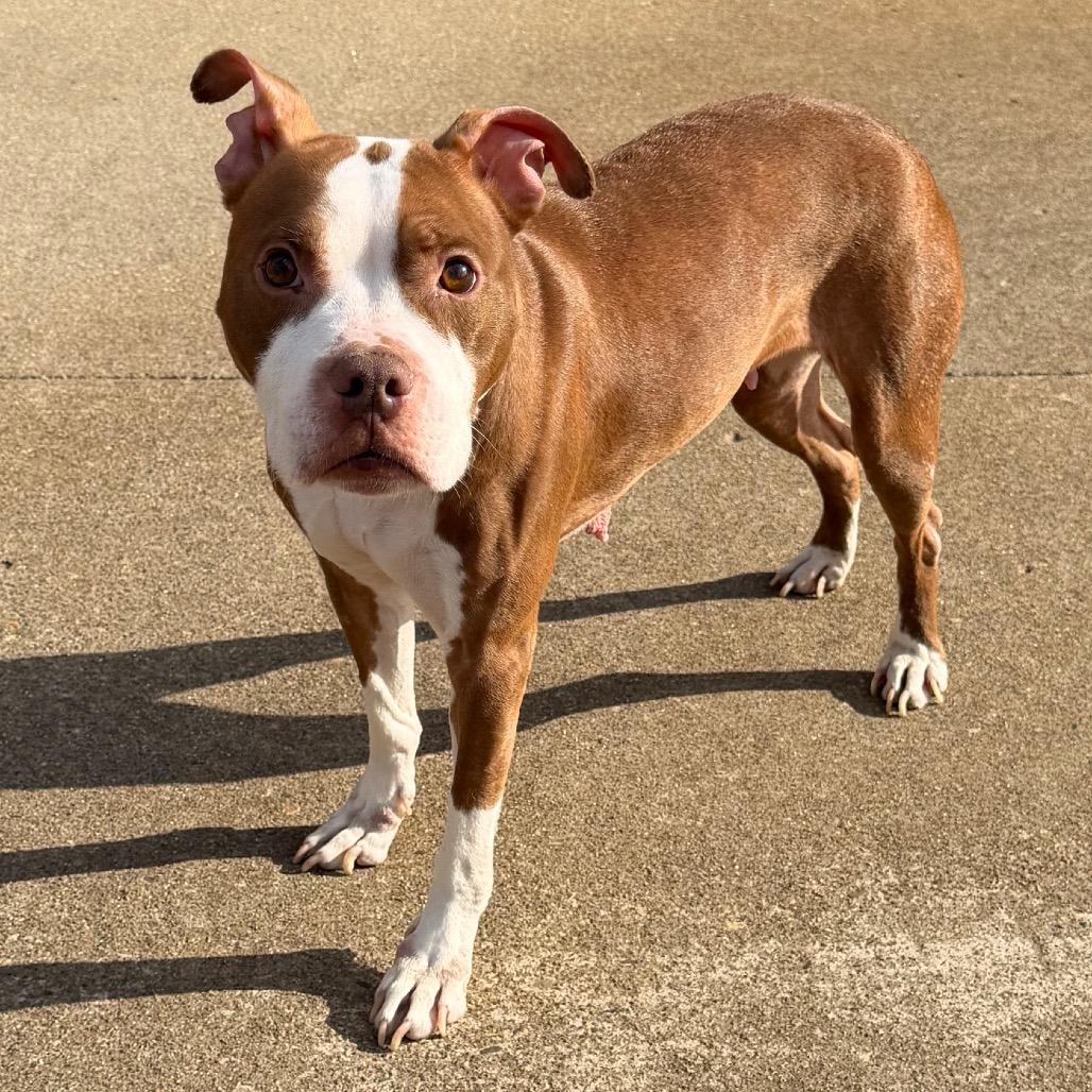 Luna-$99 — thumbnail 2