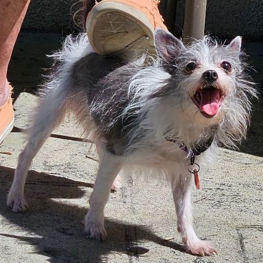 Sapphire thumbnail 4