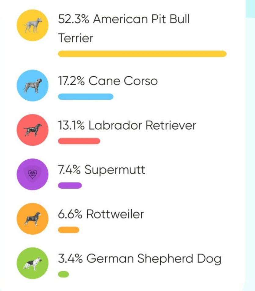 Enlarge Five.puppies, a ADOPTABLE mixed breed in Middlebury, IN image 4/4