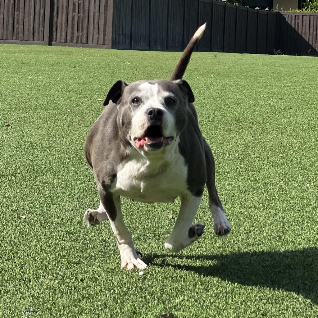 Adriana 9542 AKA Harper — thumbnail 3