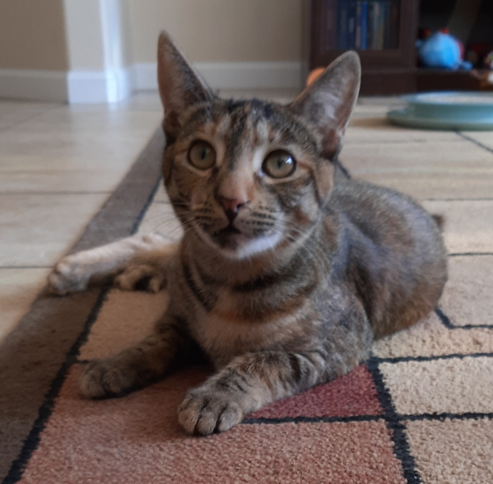 Leia