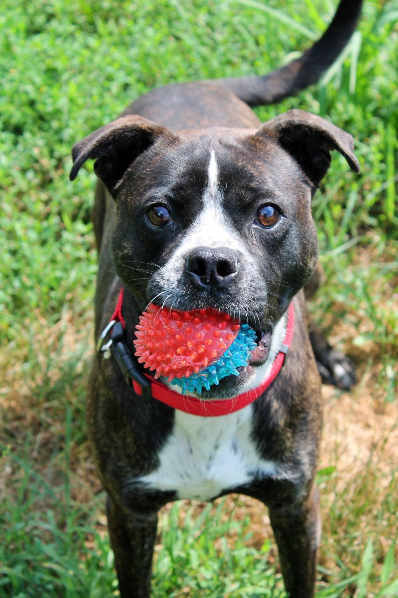 Gage photo 2