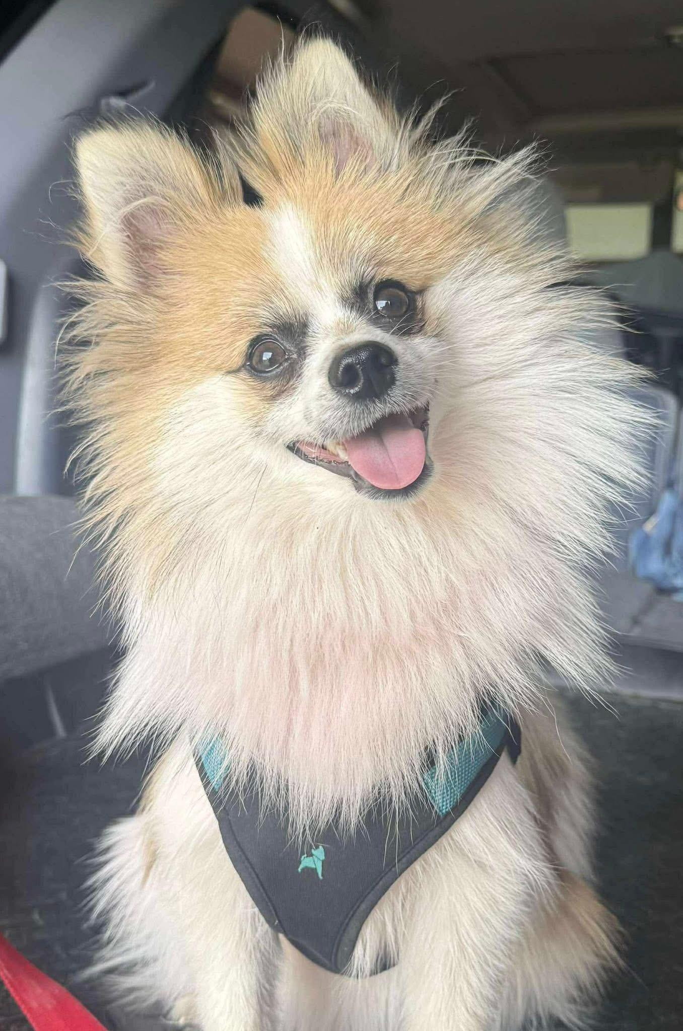 Kito