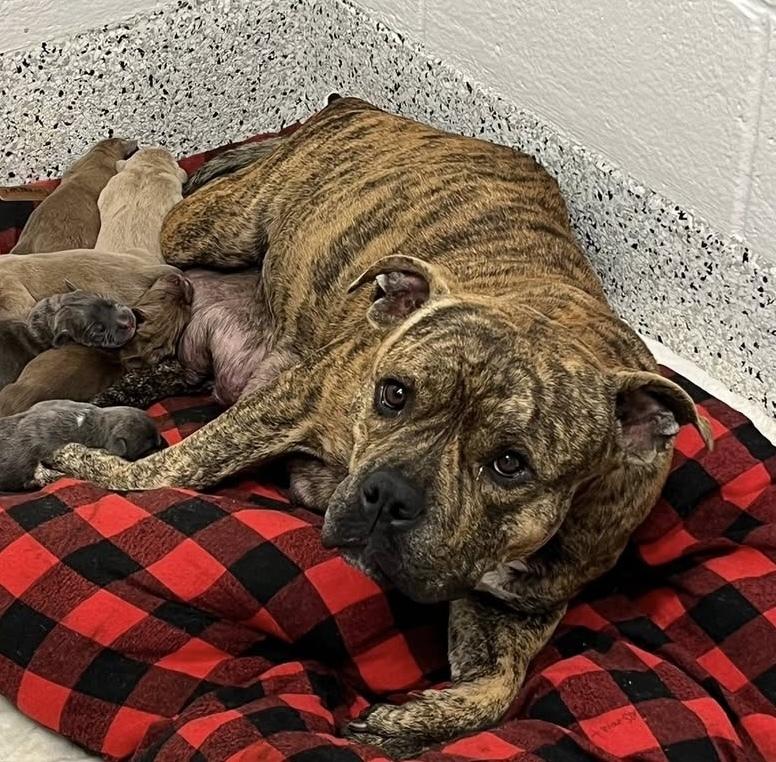 Martha May thumbnail 2