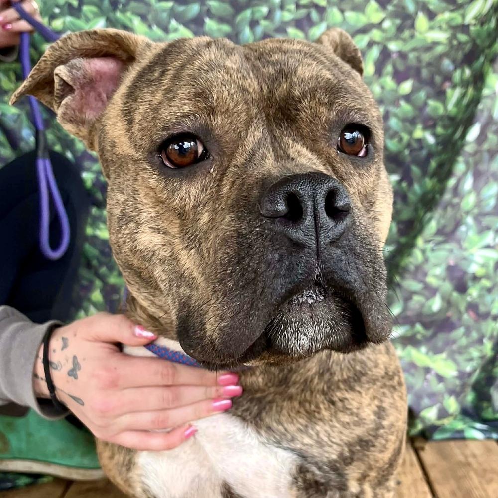 Martha May thumbnail 3