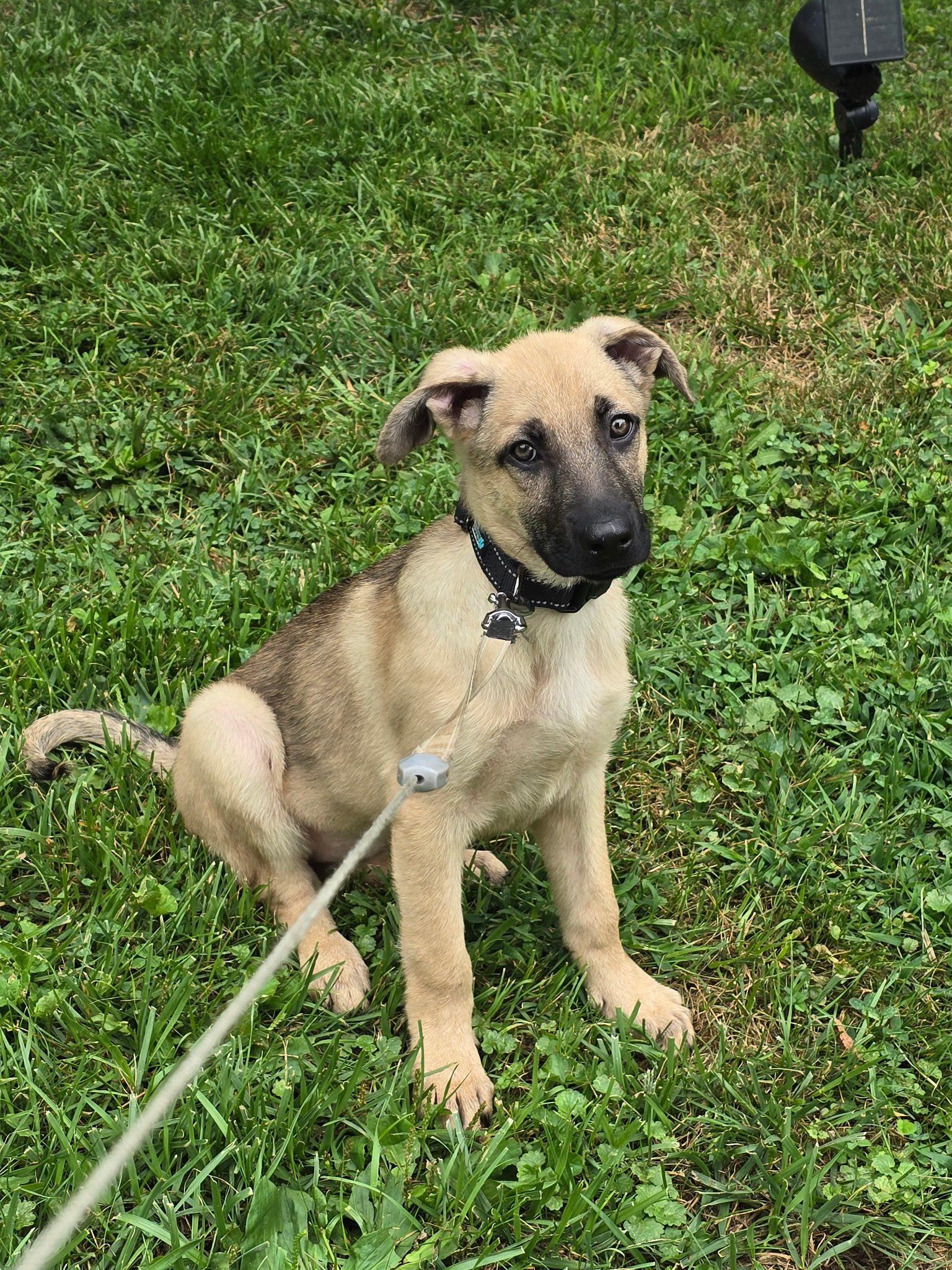 Xena, Young Female unknown