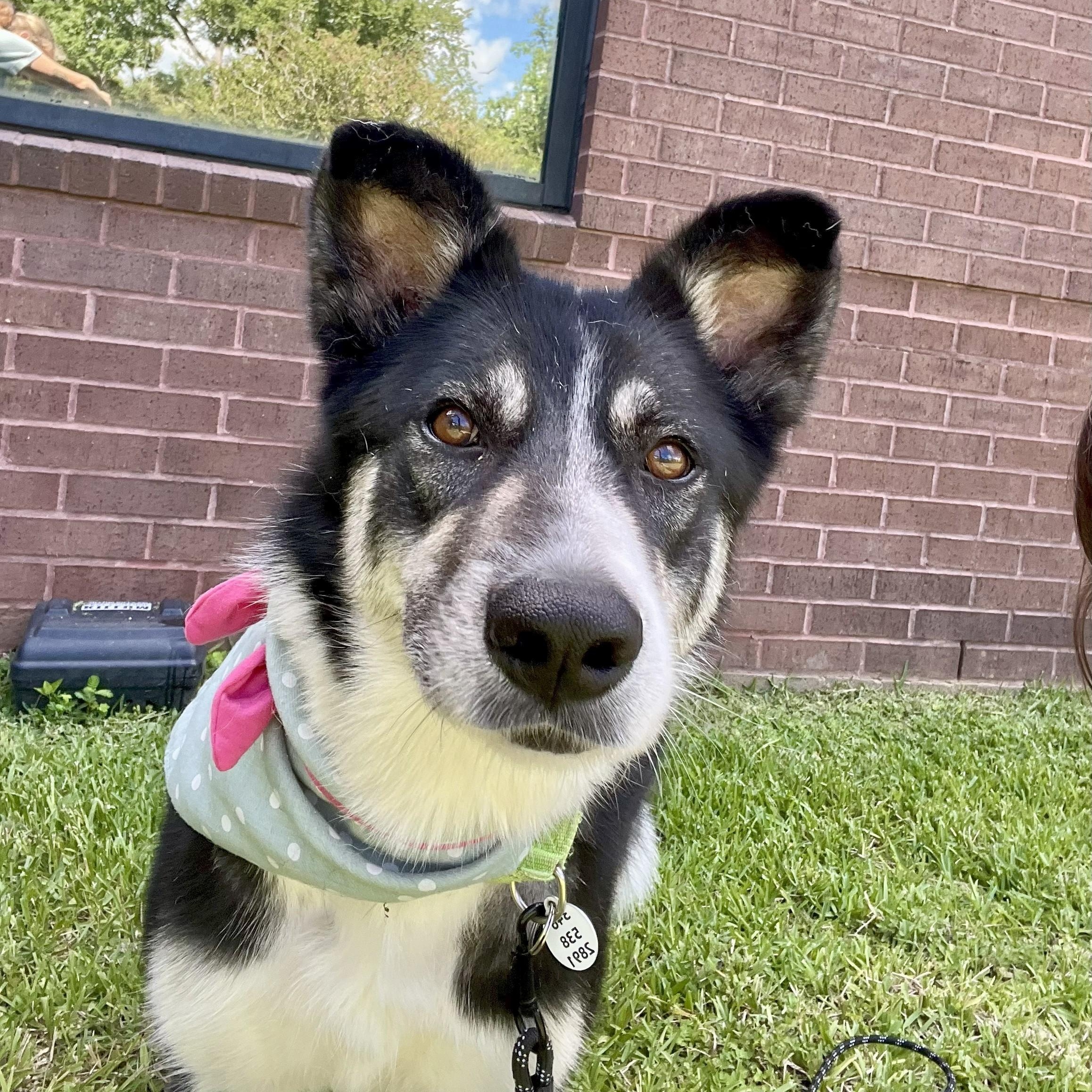 Mileena — thumbnail 3