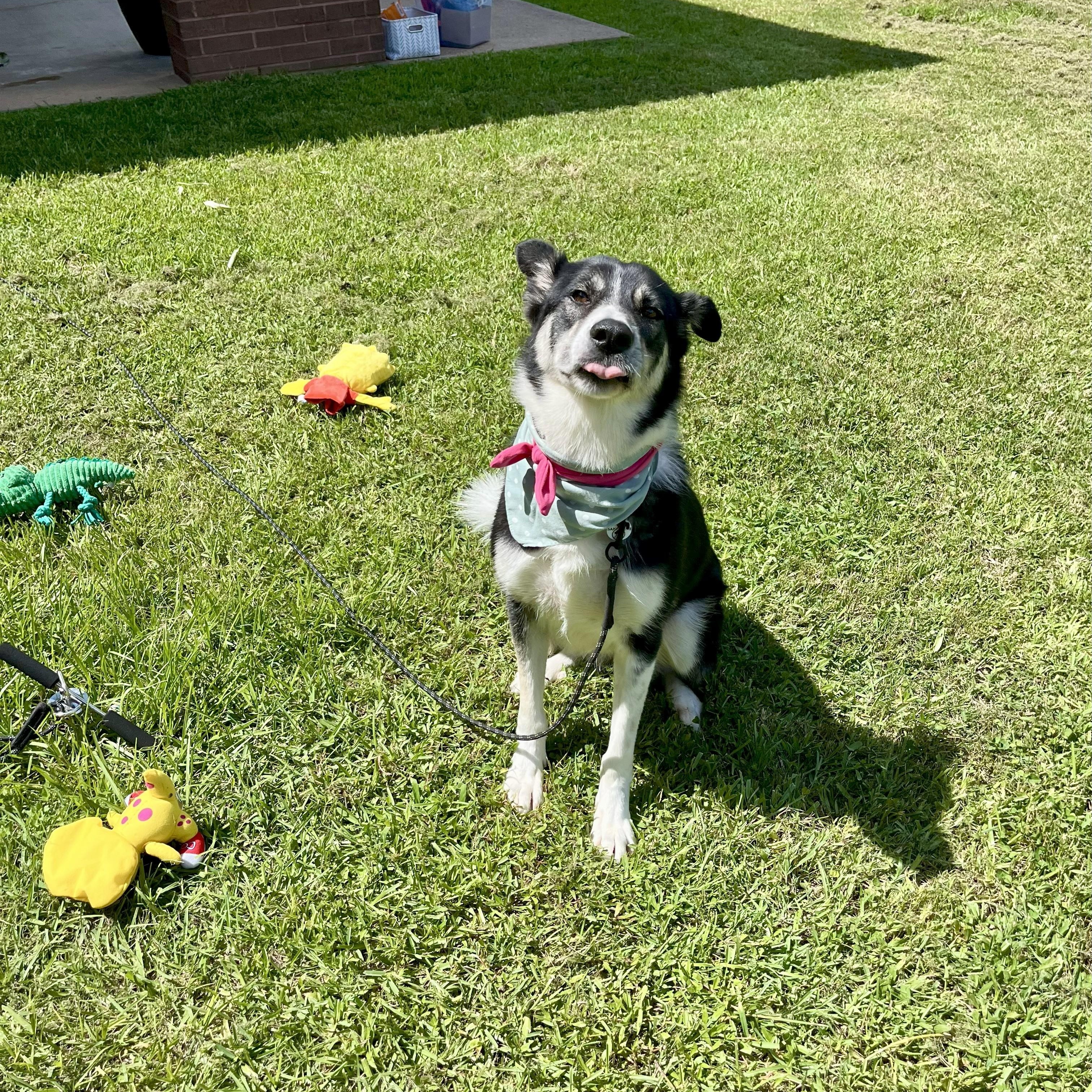 Mileena — thumbnail 6