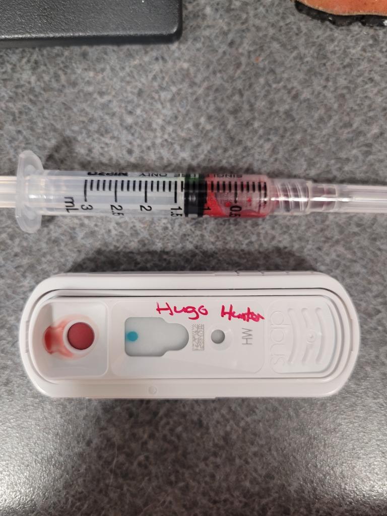 Hugo Hunter, a Adoptable mixed breed in Hopkinsville, KY image 6/6