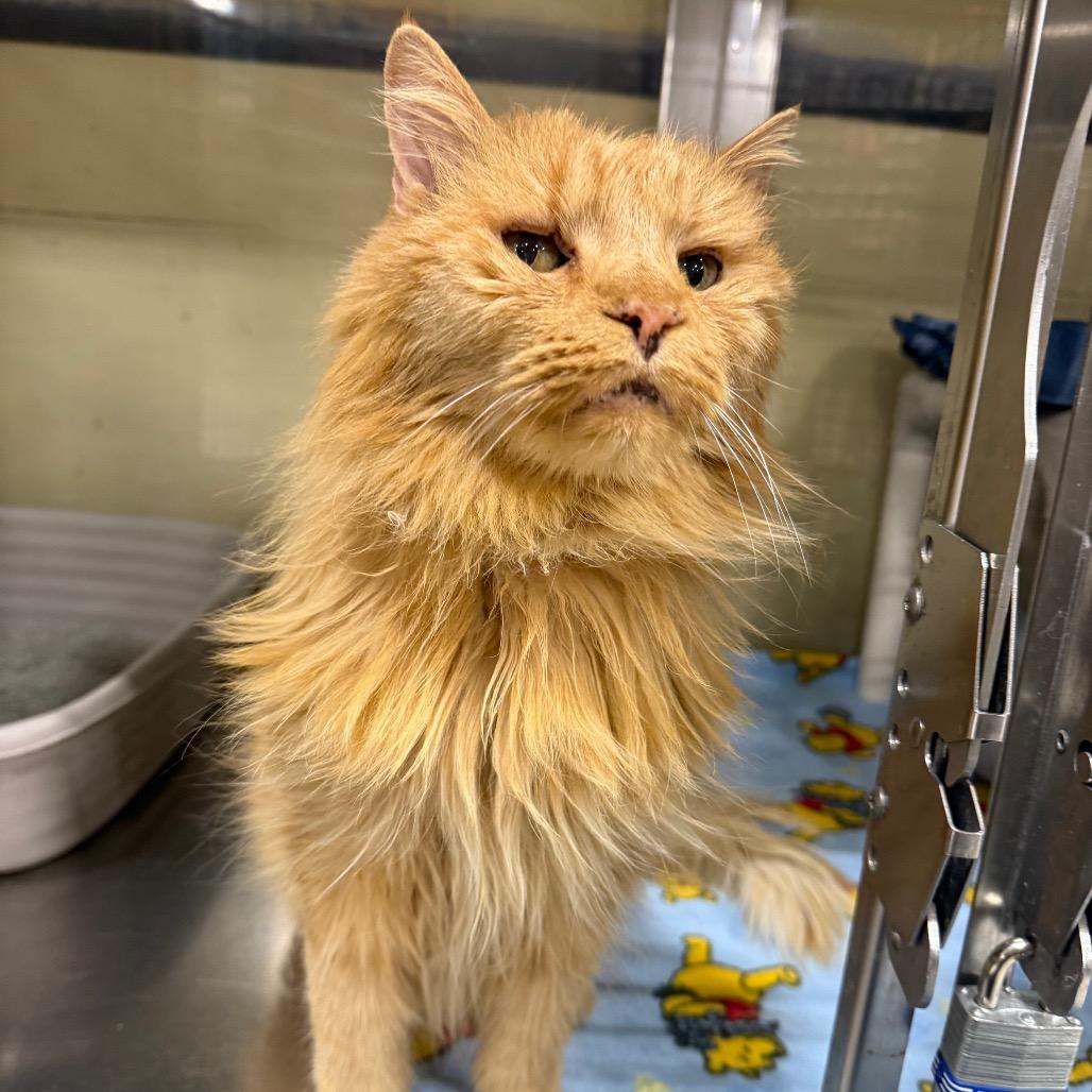 Eugene — thumbnail 2