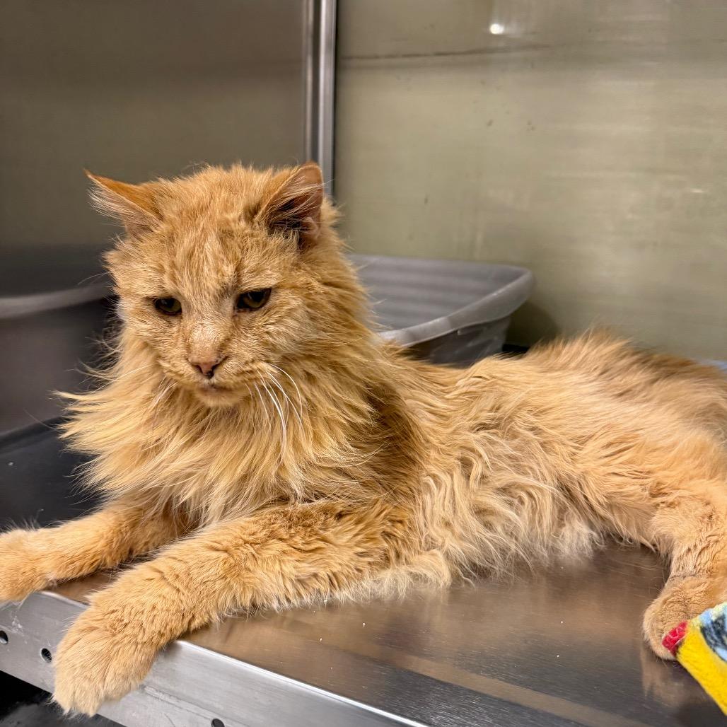 Eugene — thumbnail 3