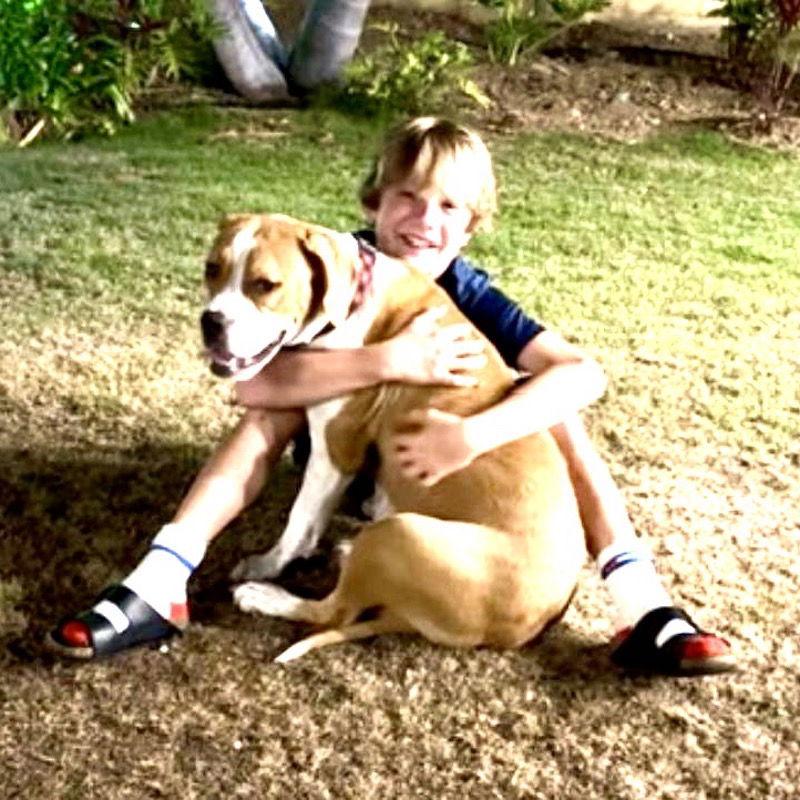 Enlarge Millie, a Adoptable mixed breed in San Juan Capistrano, CA image 2/3