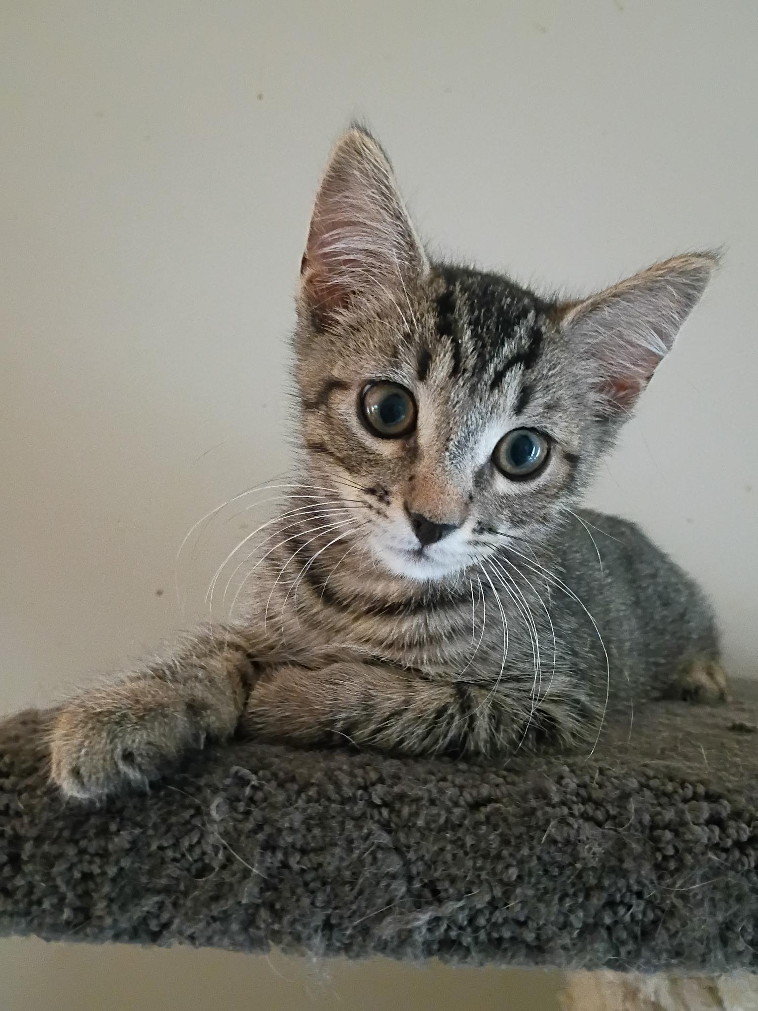 Leo