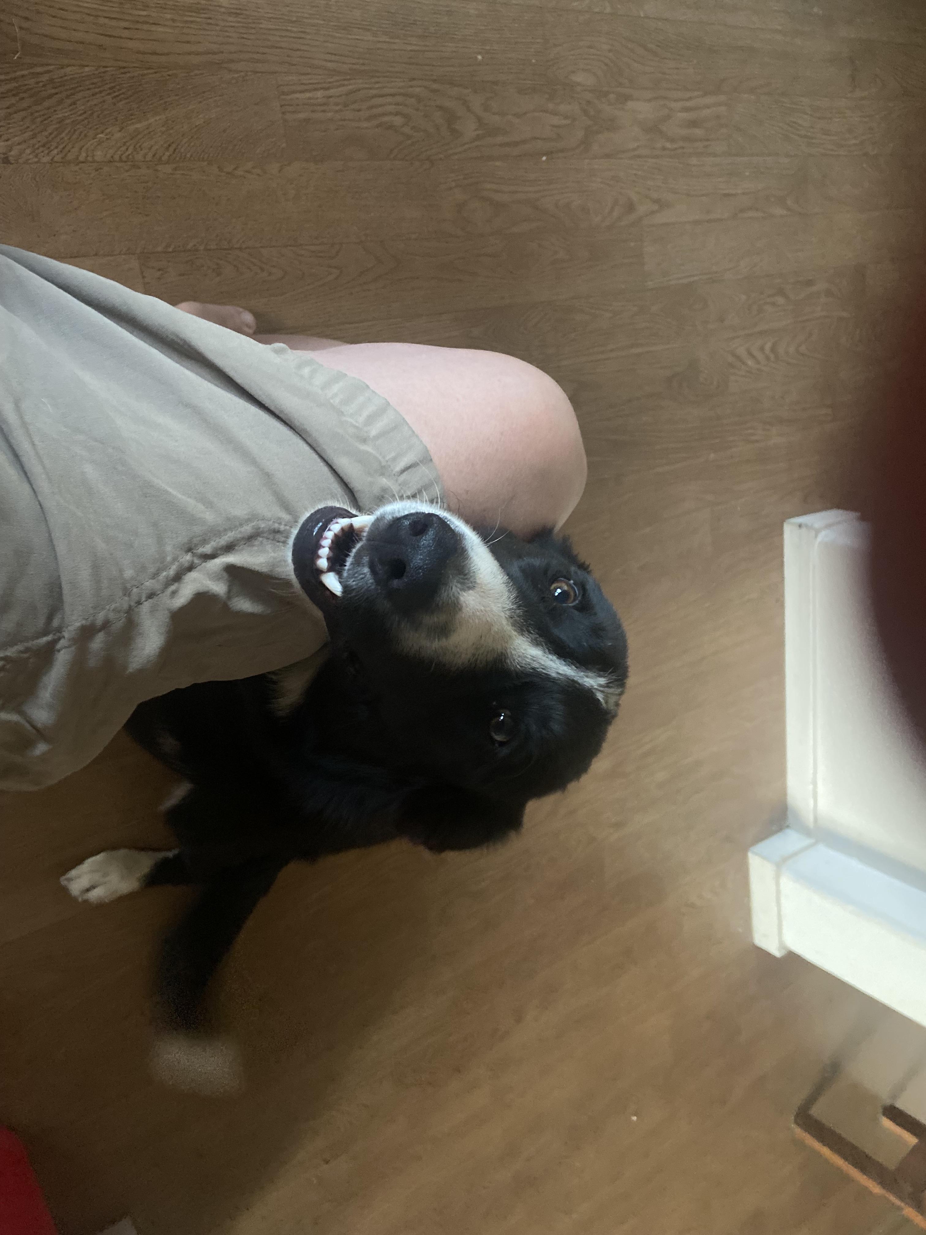 Jack photo 2