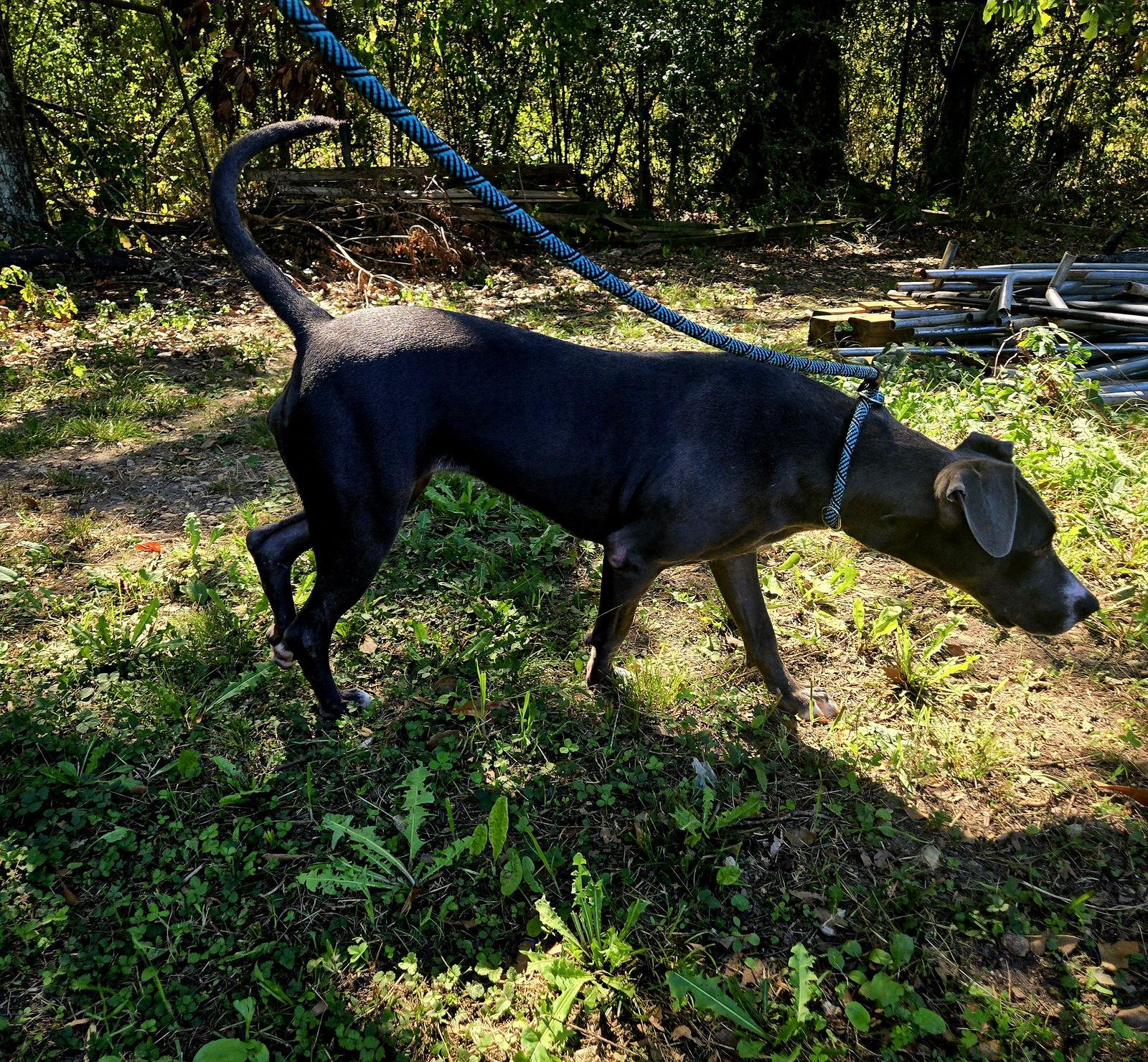 Beauty — thumbnail 2