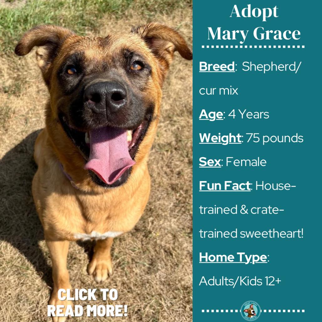 Enlarge Mary Grace, a Adoptable mixed breed in Metamora, MI image 4/5
