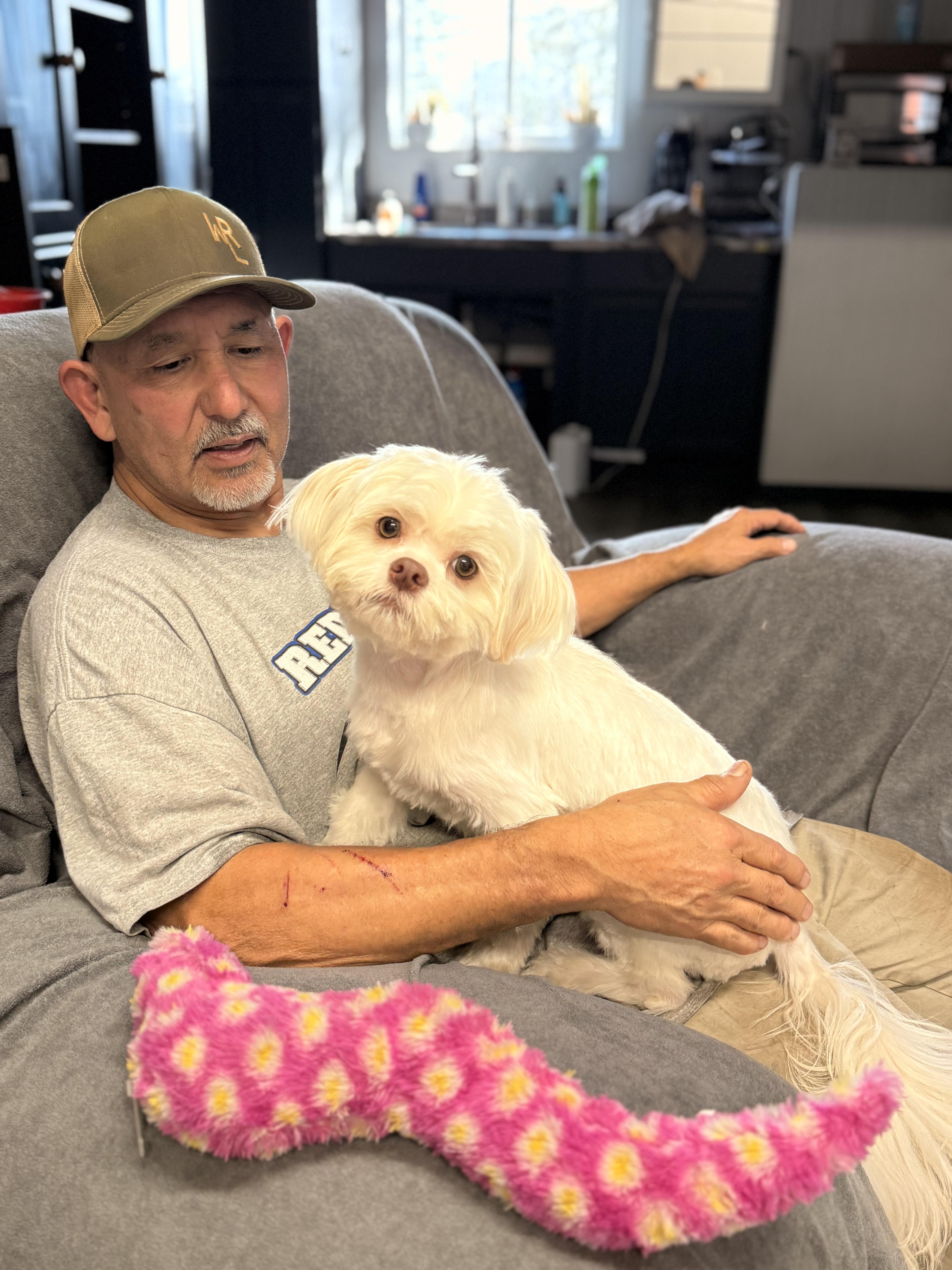 Enlarge Theo, an adopted mixed breed in Texarkana, TX image 3/6