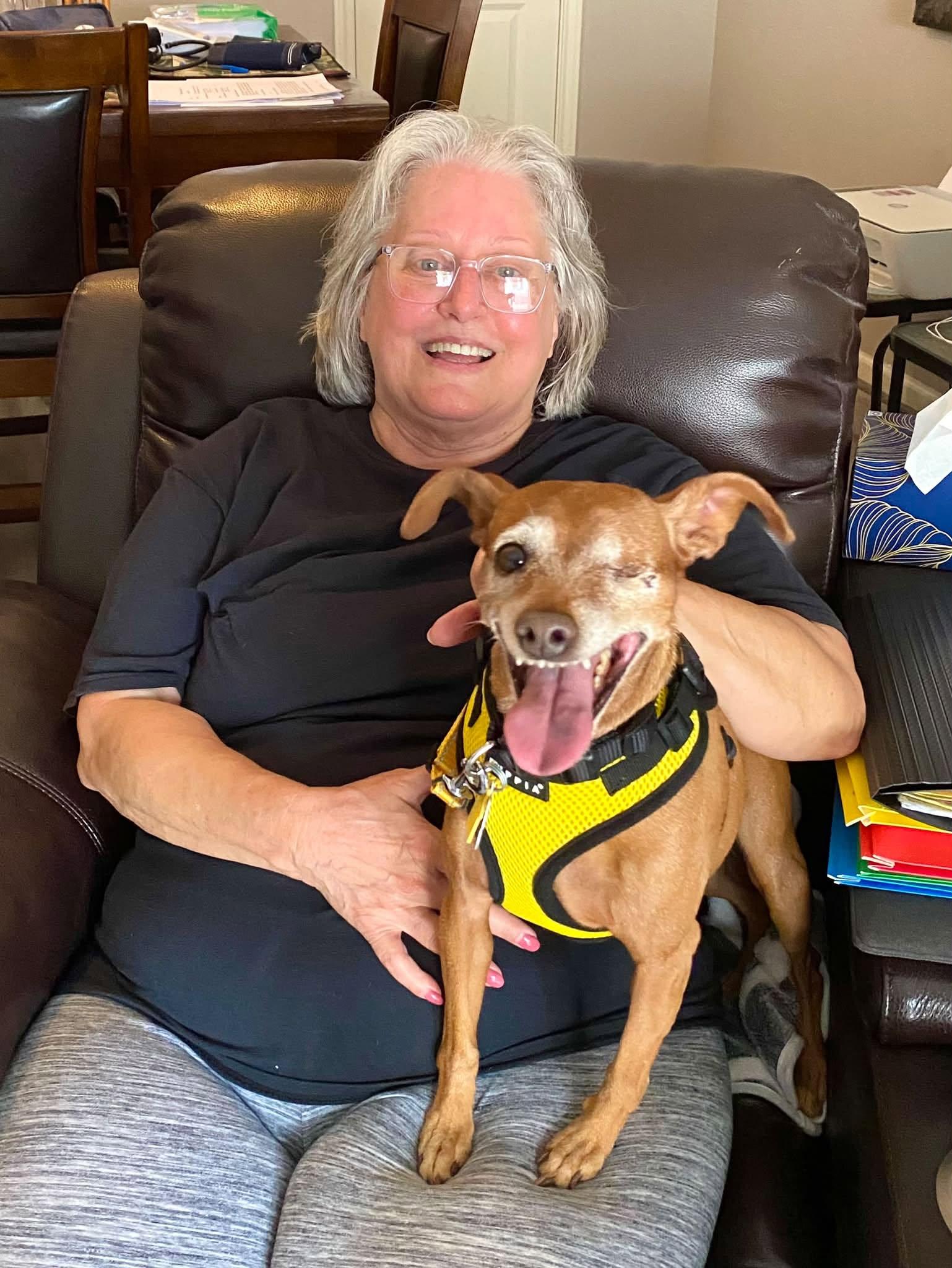 Enlarge Harley - ADOPTED, a Adoptable Miniature Pinscher in Houston, TX image 6/6