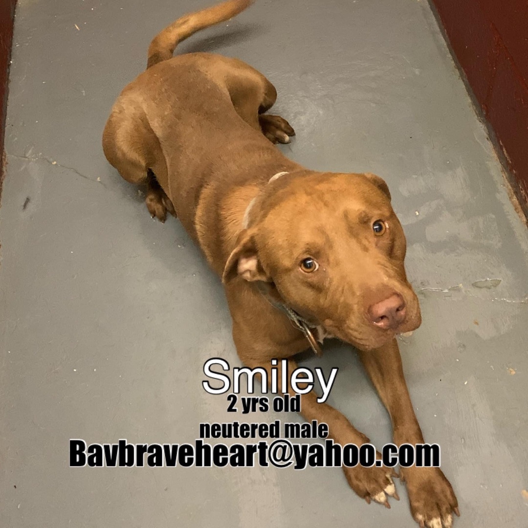 Smiley, Adult Male unknown