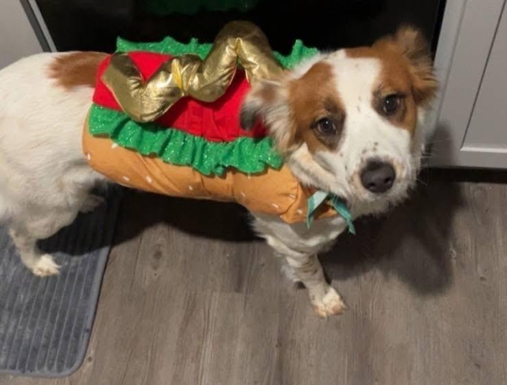 Penny — thumbnail 3