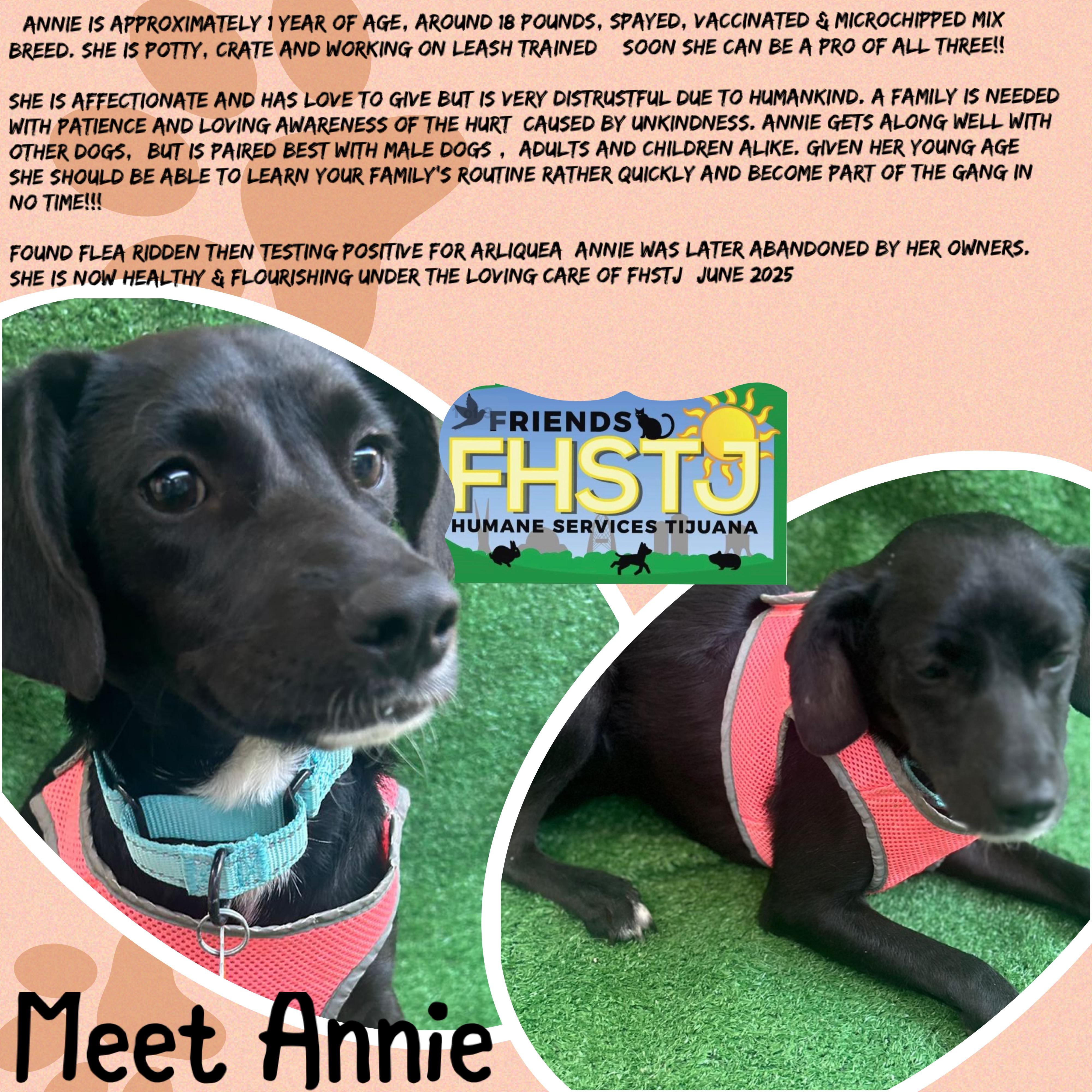 Annie