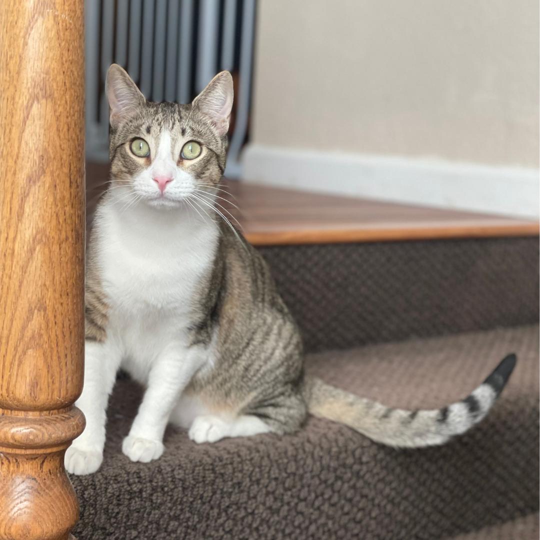 Diego