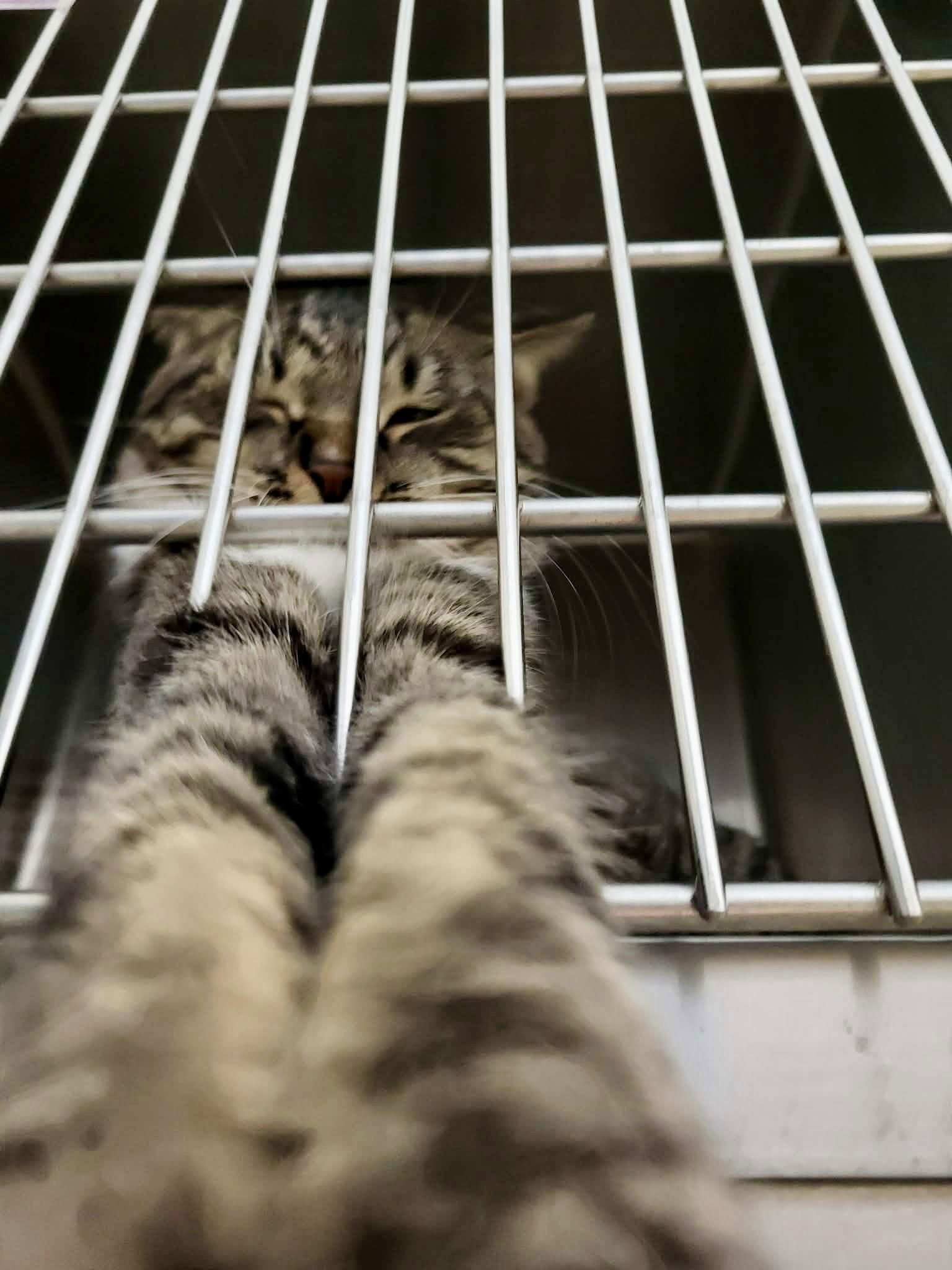 Ruth — thumbnail 2