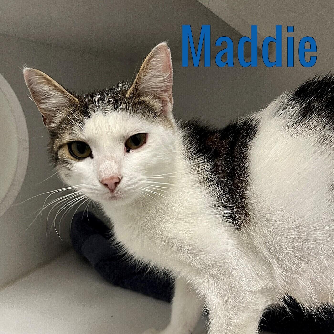 Maddie