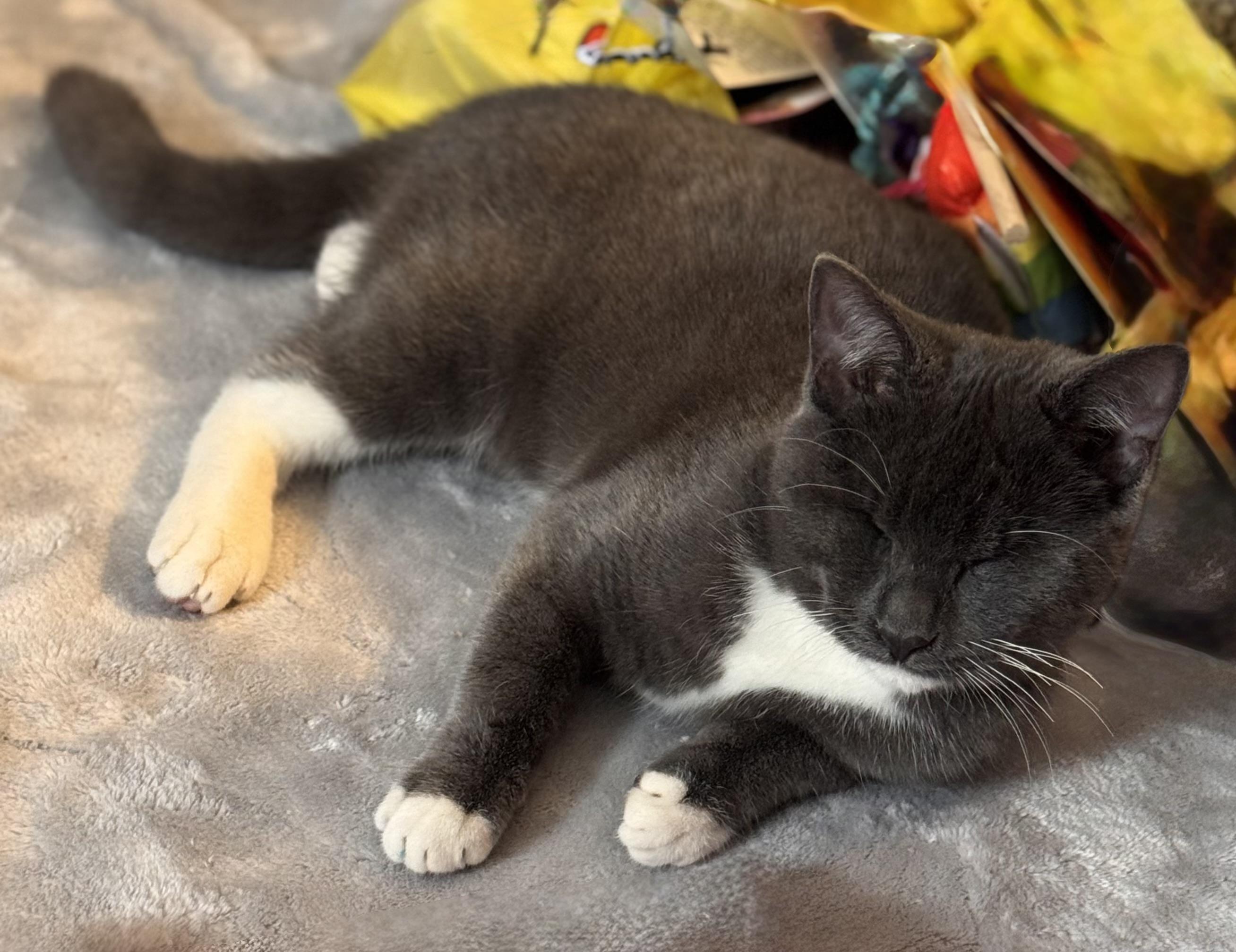 Daisy Elizabeth thumbnail 6