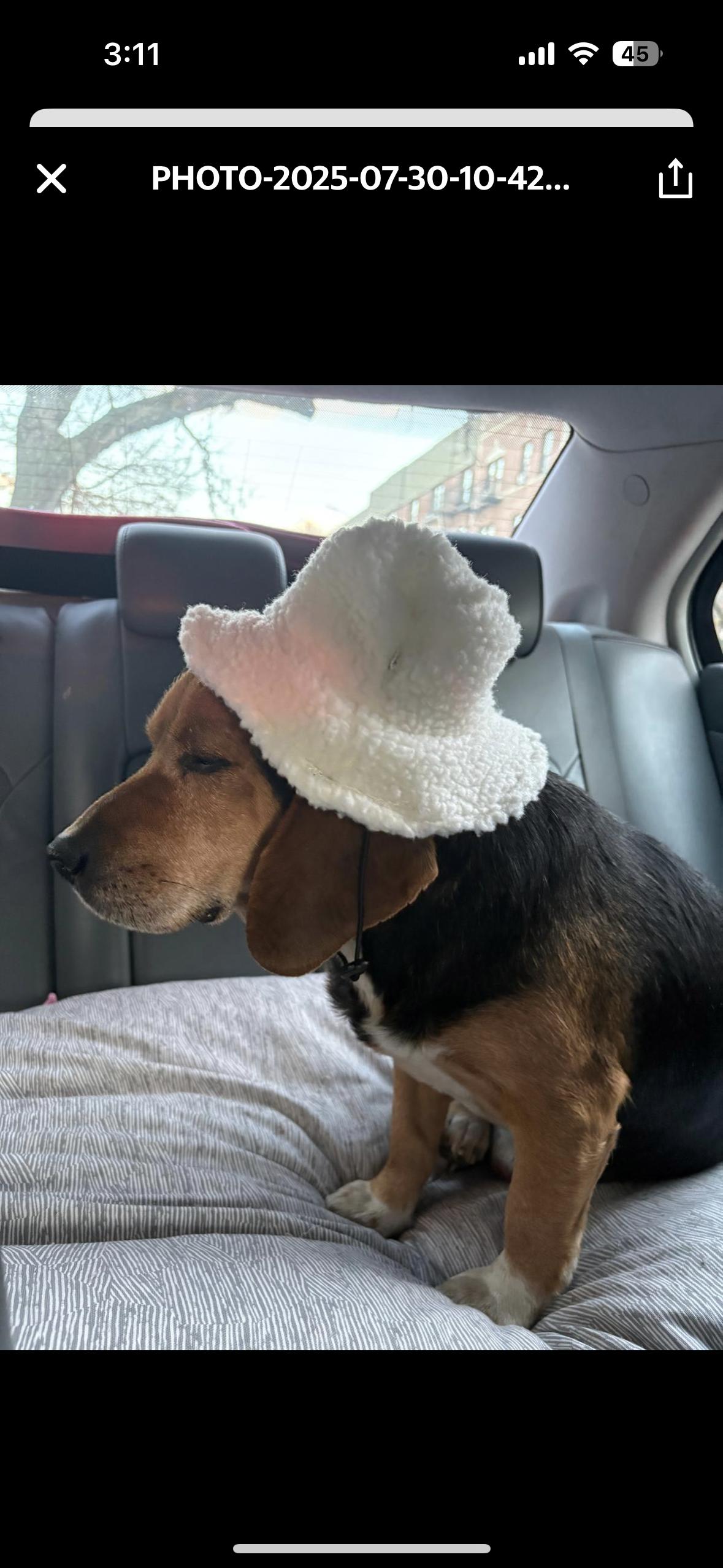Coco