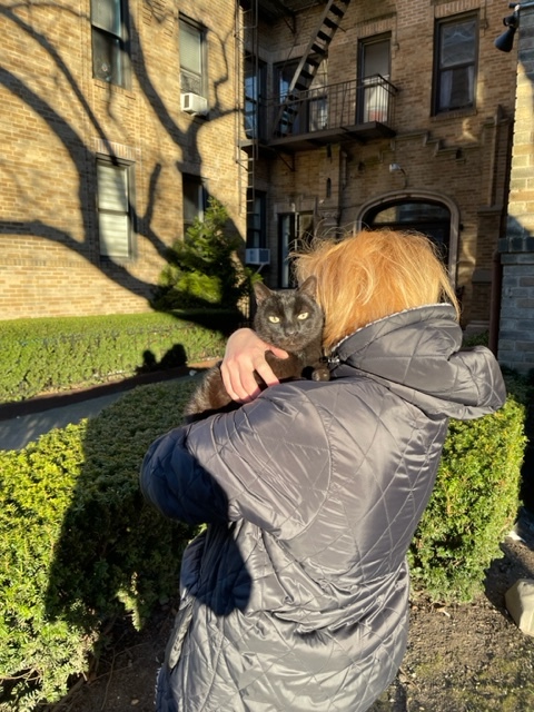 Dream, a Adoptable mixed breed in Brooklyn, NY image 3/3