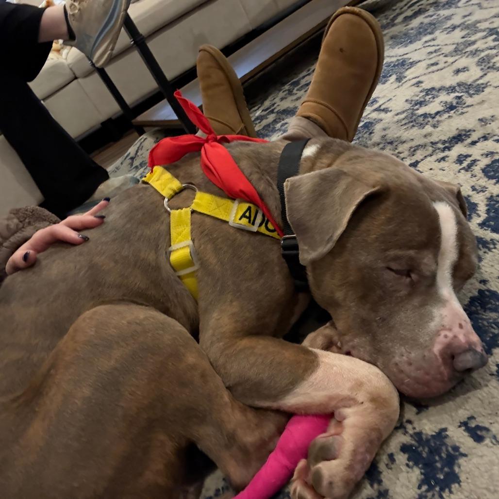 Fork — thumbnail 3