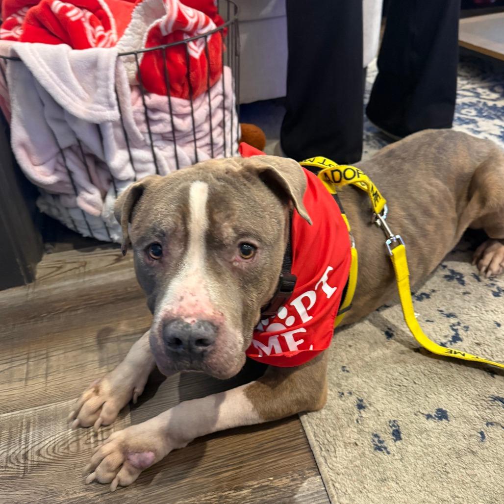 Fork — thumbnail 6