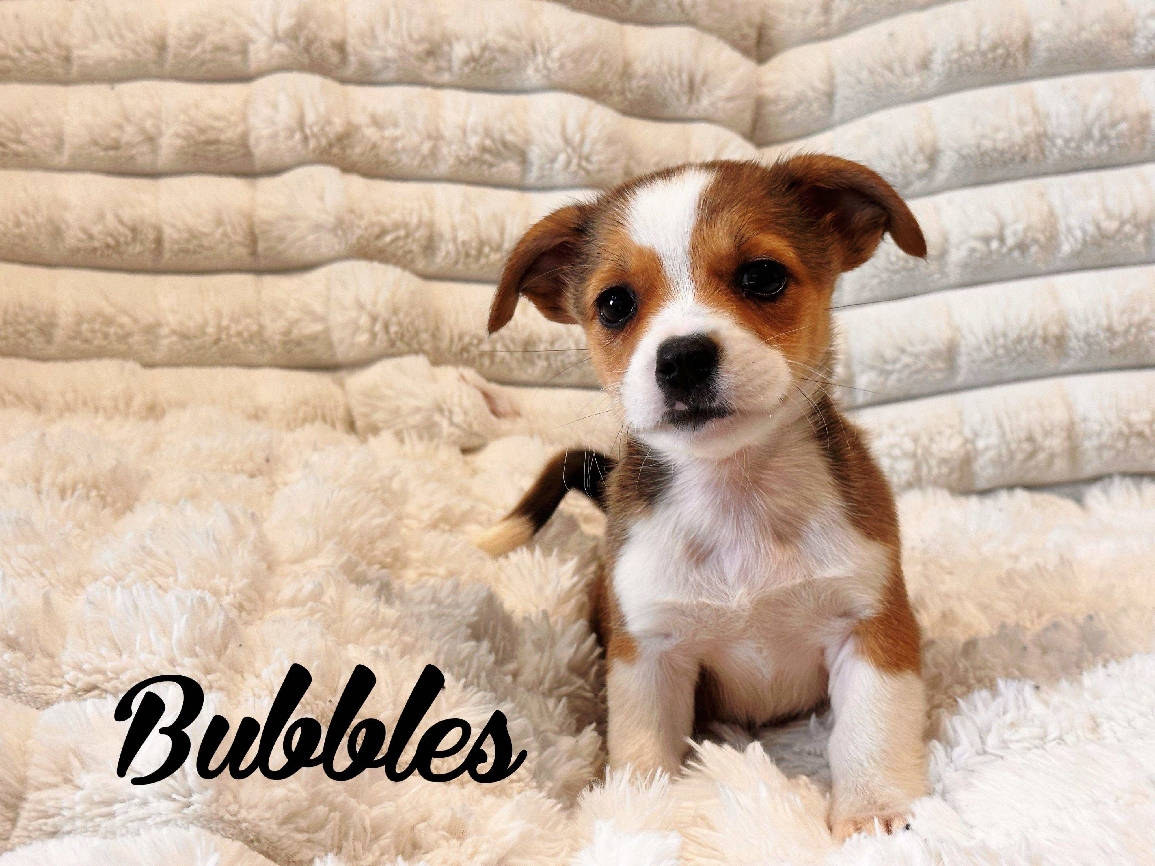 Bubbles