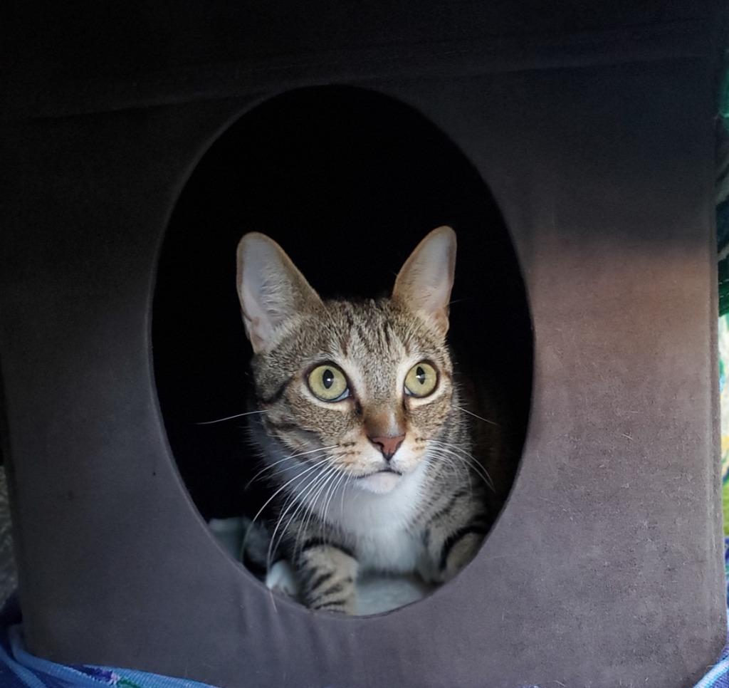 Fiona 3